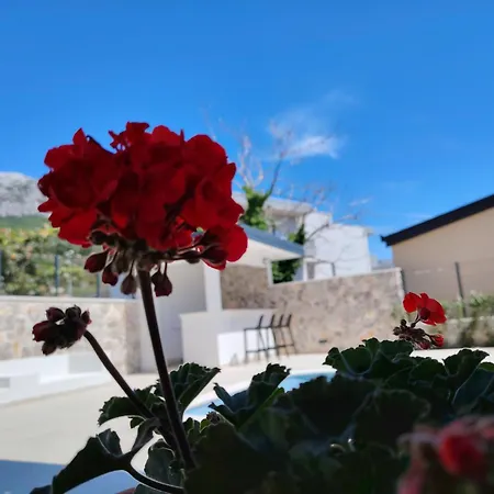 アパート Bayview *